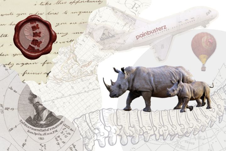 Chronic pain affects roughly 1 in 5 adults in the United States, and around 17 million people experience pain severe enough to limit their daily lives. This graphic aims to give viewer the shear size of those numbers through a rhino graphic walking on a spine and the outdated treatments that are currently available.
